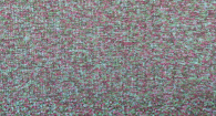 wn_bild_kollektion_20250812_1
